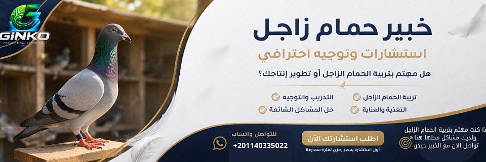 مرحباً بك في بوابة الإعلانات الخاصة بنا